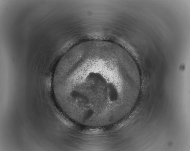 X0000099300065200805091004