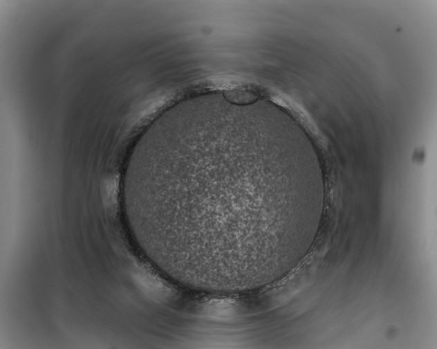 X0000099300066200805091004