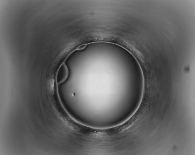 X0000099300067200805091004