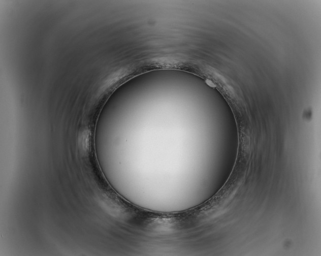 X0000099300071200805091004