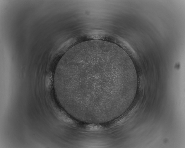 X0000099300073200805091004