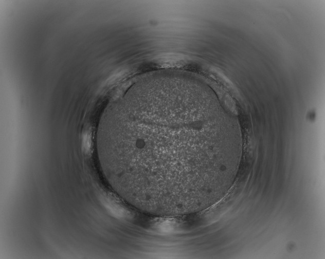 X0000099300074200805091004