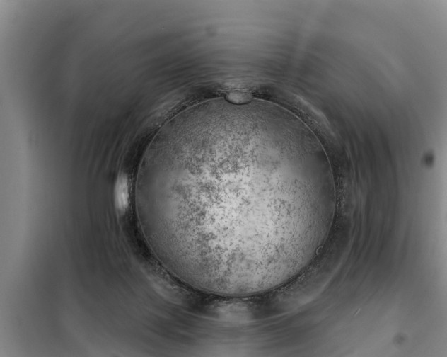 X0000099300075200805091004