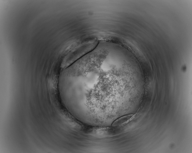 X0000099300078200805091004