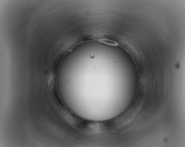 X0000099300079200805091004