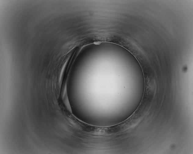 X0000099300080200805091004