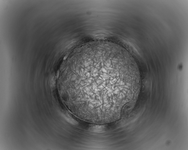 X0000099300081200805091004