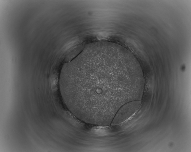 X0000099300082200805091004