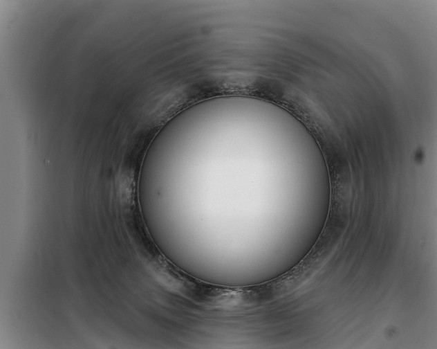 X0000099300083200805091004