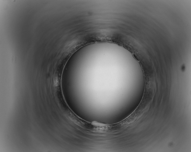 X0000099300084200805091004