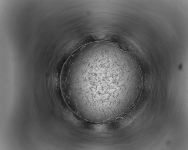X0000099300085200805091004