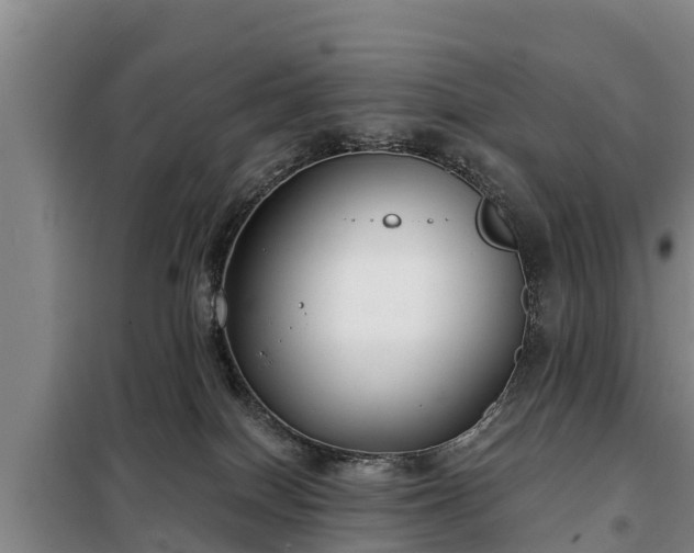 X0000099300086200805091004