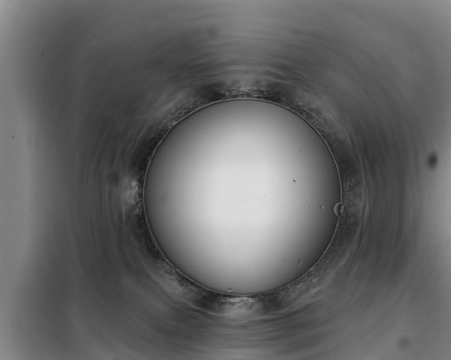 X0000099300087200805091004