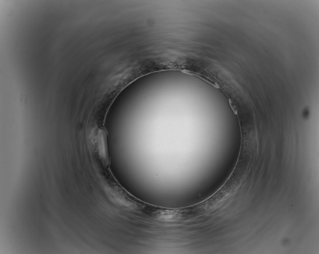 X0000099300088200805091004