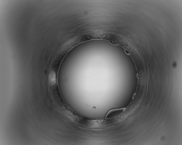 X0000099300089200805091004