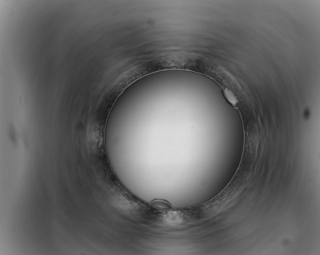 X0000099300091200805091004