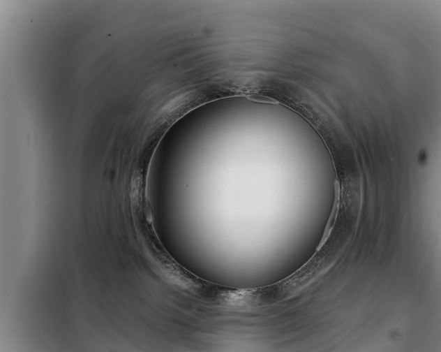 X0000099300092200805091004