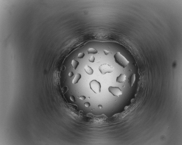 X0000099300093200805091004