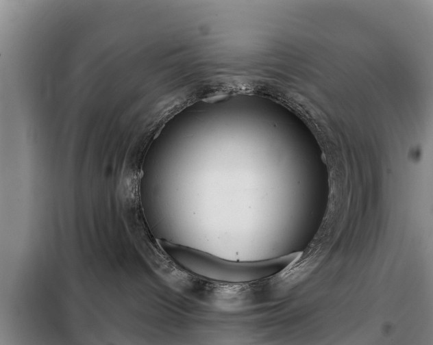 X0000099300096200805091004