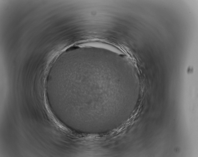 X0000099300097200805091003