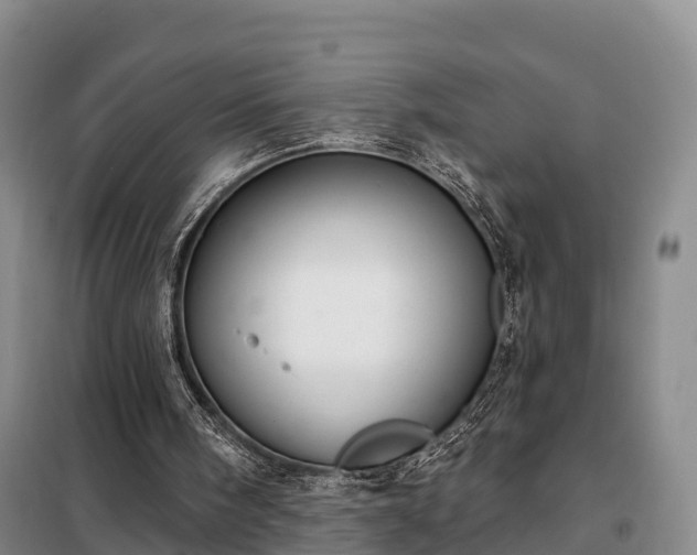 X0000099300098200805091003