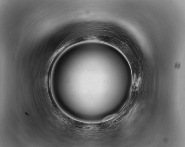 X0000099300099200805091003