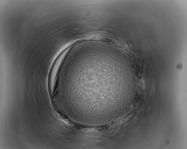 X0000099300100200805091003