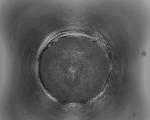 X0000099300101200805091003