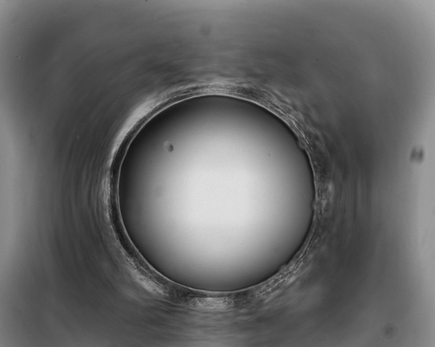 X0000099300102200805091003