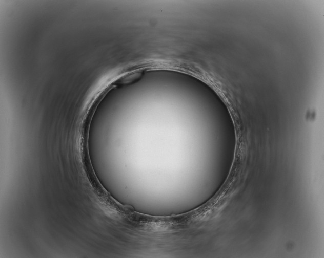 X0000099300103200805091003