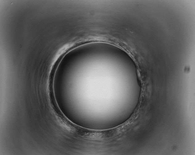 X0000099300104200805091003