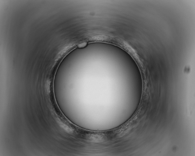 X0000099300106200805091003