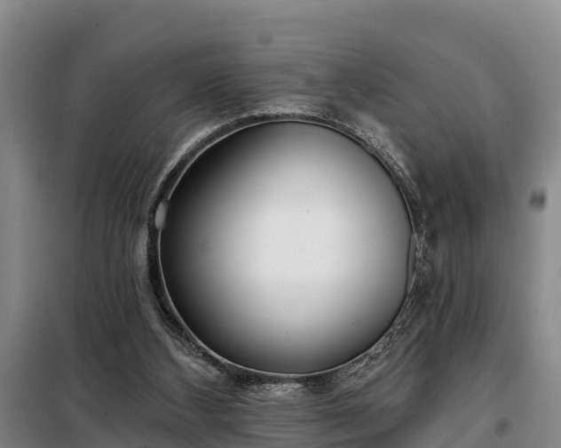 X0000099300108200805091003