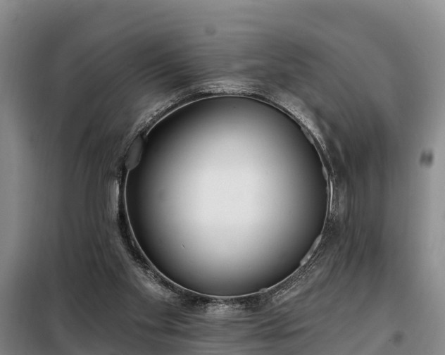 X0000099300109200805091003