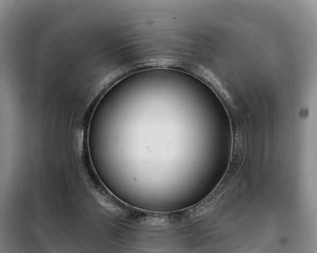 X0000099300110200805091003