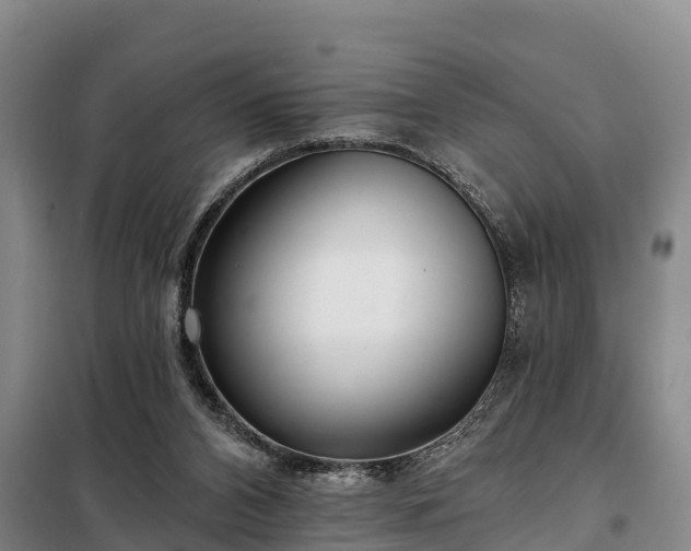 X0000099300112200805091003