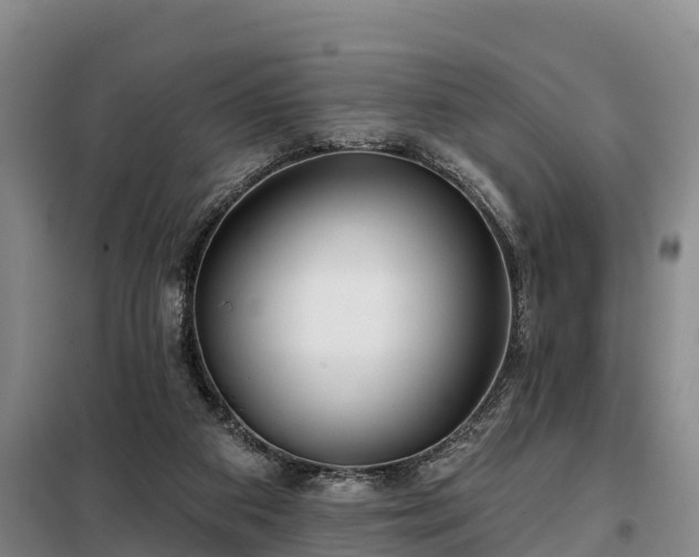 X0000099300113200805091003