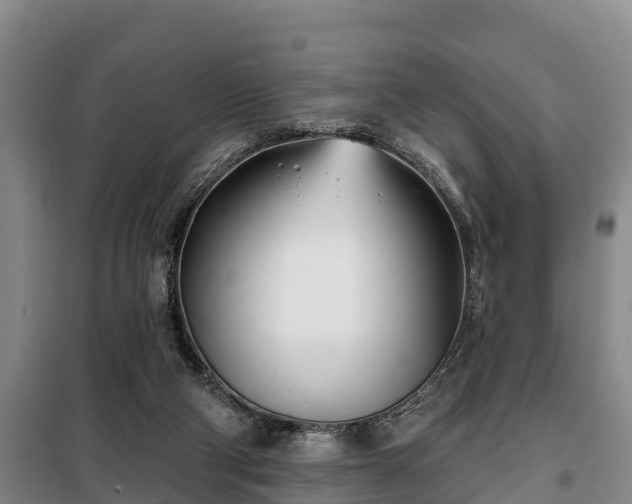 X0000099300114200805091003