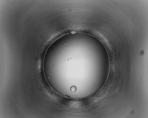 X0000099300115200805091003