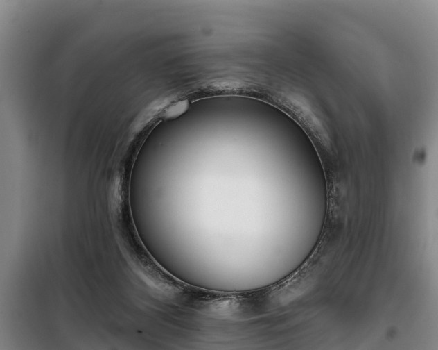 X0000099300116200805091003