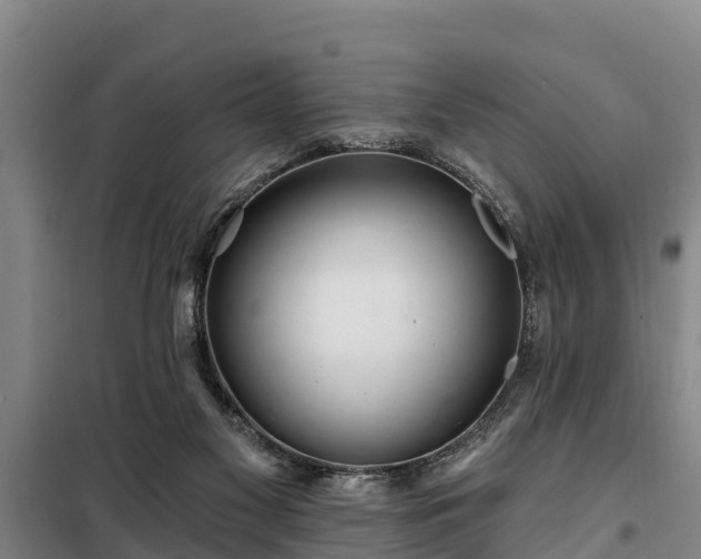 X0000099300117200805091003