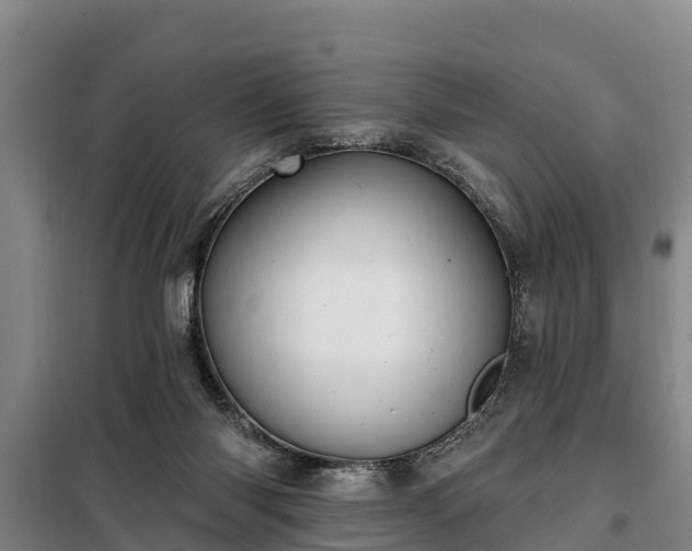 X0000099300118200805091003