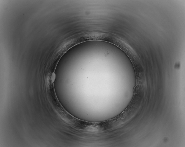 X0000099300119200805091003