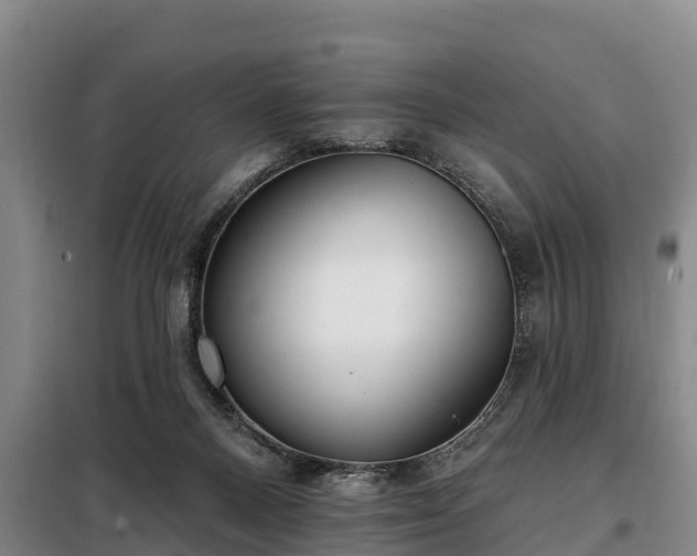 X0000099300120200805091003