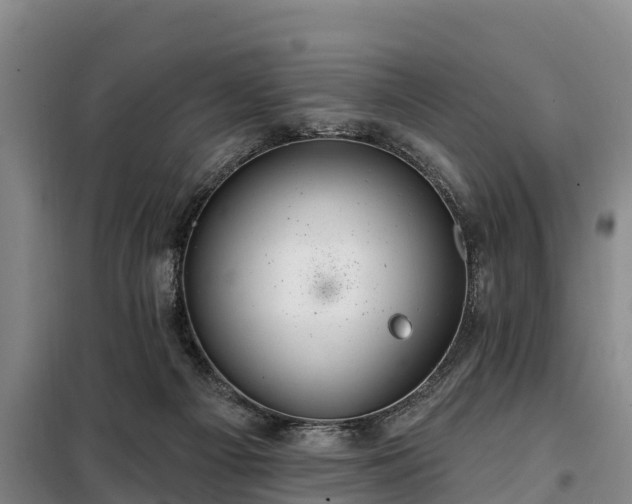 X0000099300121200805091003