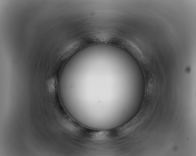 X0000099300122200805091003