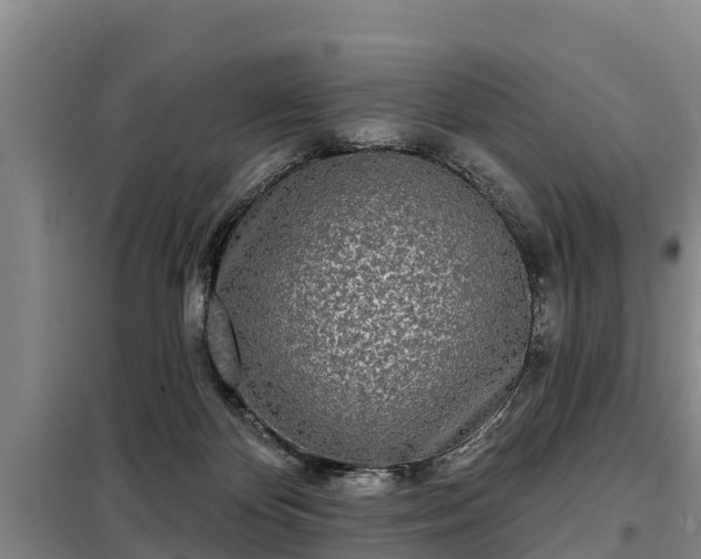 X0000099300124200805091003