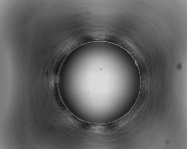 X0000099300125200805091003