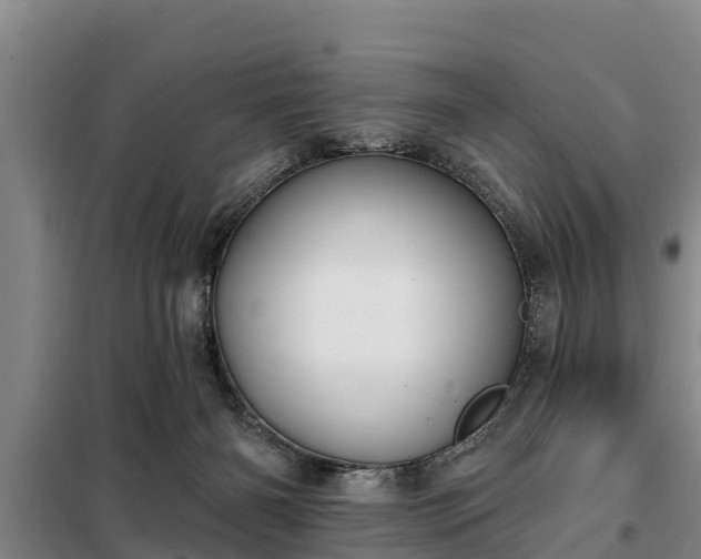 X0000099300126200805091003