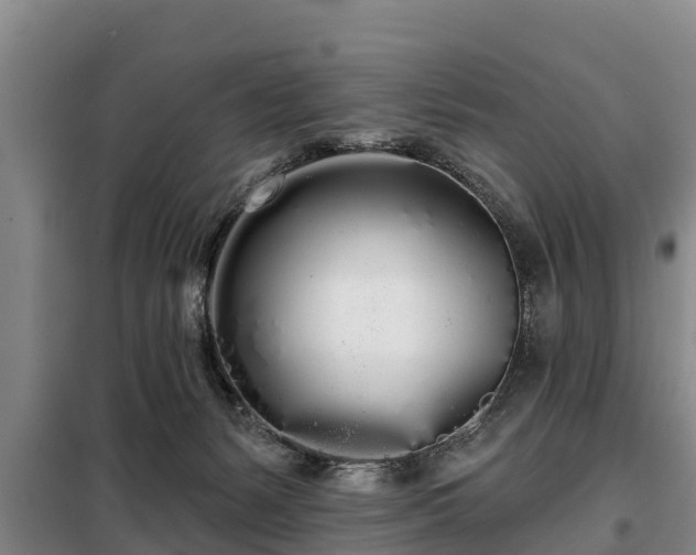 X0000099300127200805091003